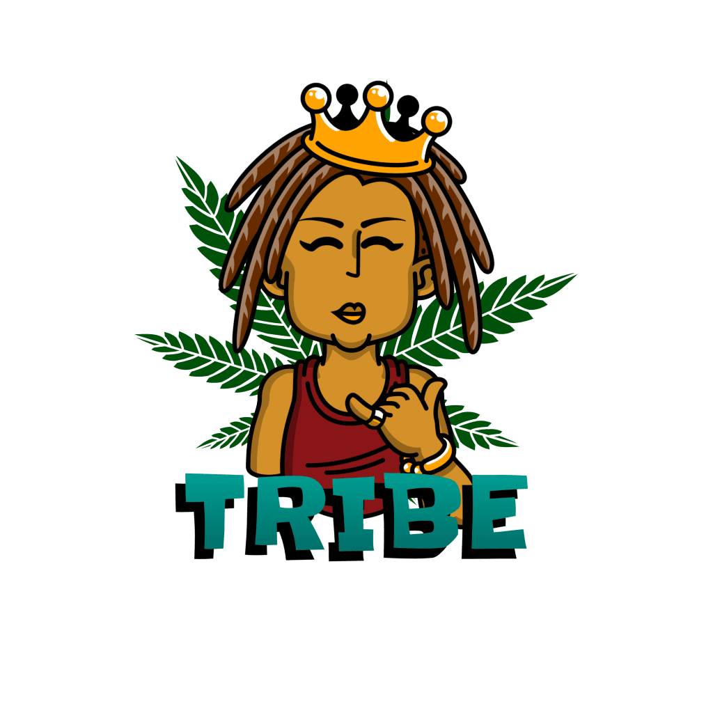 Tribe Vibe Basic Membership